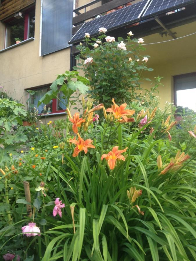 Arve Villa Bitsch Exterior foto